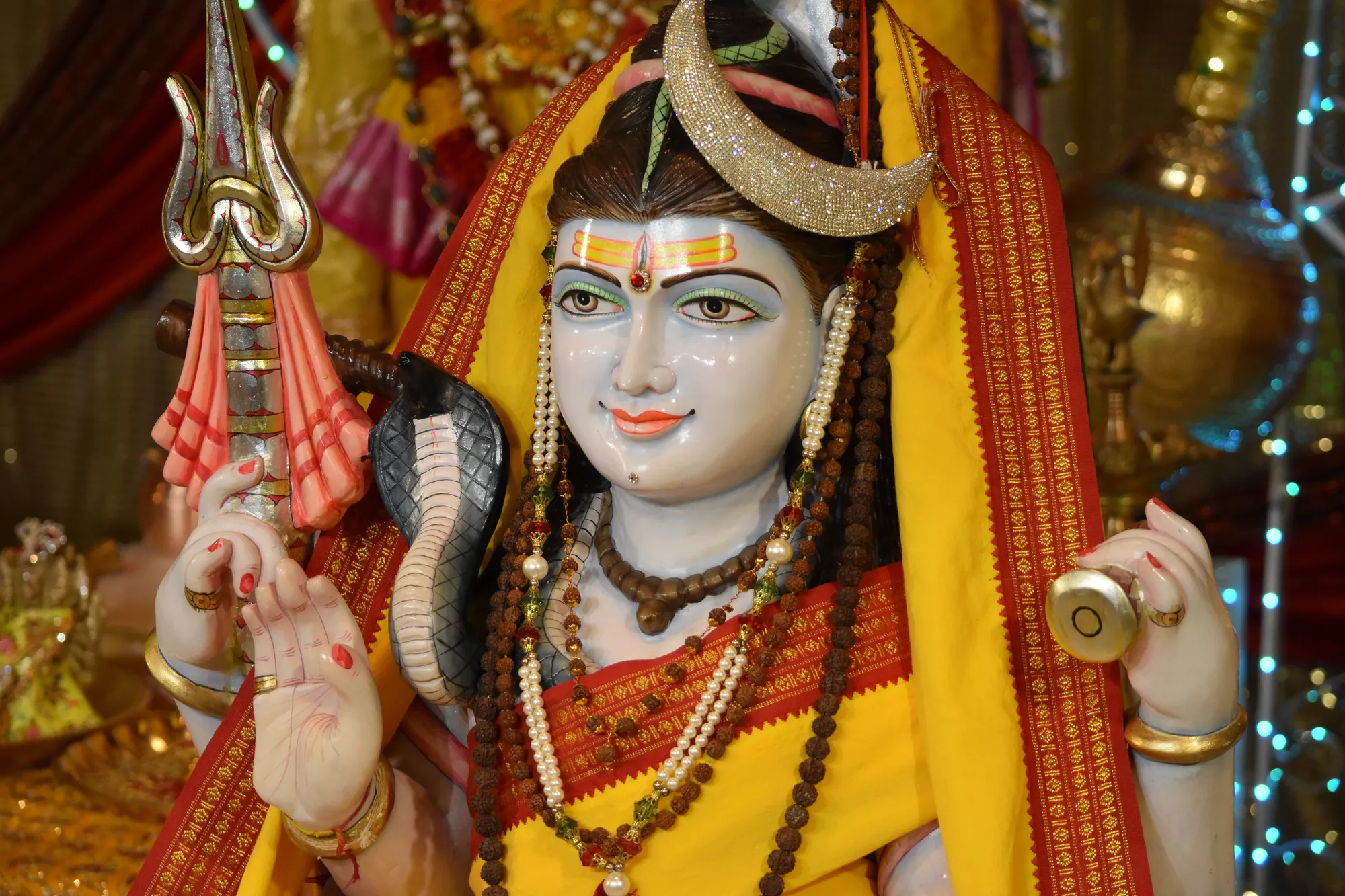 Vasant Panchmi 6